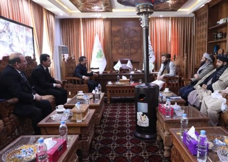 استملاک زمین محور رایزنی رئیس پروژه تاپی با مقامات طالبان