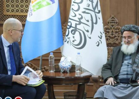 رئیس اداره مشارکت بین‌المللی اتحادیه اروپا با وزیراقتصاد دیدارکرد