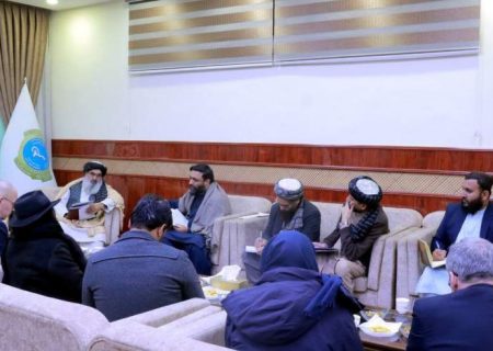 وزیر صحت عامه با رئیس شرق میانه اتحادیه اروپا دیدار کرد