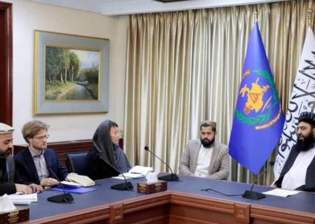 سازمان بین‌المللی مهاجرت: از اخراج مهاجرین افغانستان از پاکستان و ایران ابراز نگرانی کرد