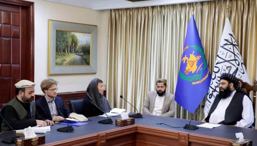 سازمان بینالمللی مهاجرت: از اخراج مهاجرین افغانستان از پاکستان و ایران ابراز نگرانی کرد
