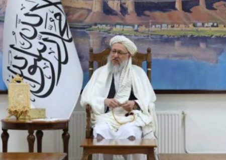 حنفی: بر حل مشکلات مهاجران افغانستان در پاکستان تأکید کرد