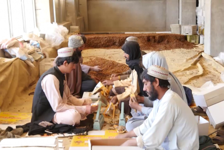 امسال ۴۲۱ هزار تُن کالا از قندهار به خارج صادر شده است