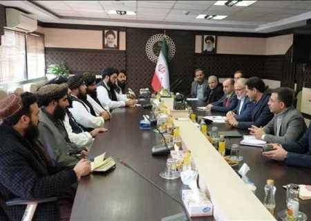 پورجمشیدیان: ۲ میلیون مهاجر غیرقانونی افغانستان در ایران است