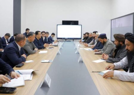 وزیر صنعت با وزیر سرمایه‌گذاری ازبکستان درباره تسهیل صدور ویزای درازمدت برای تاجران گفتگو کردند