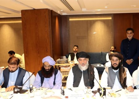 نور الدین عزیزی در پاکستان: پناهجویان آگاهانه و داوطلبانه بازگردند