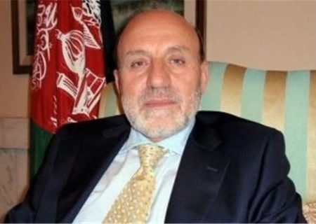 داودزی: نظام ریاست جمهوری به افغانستان تحمیل شده بود