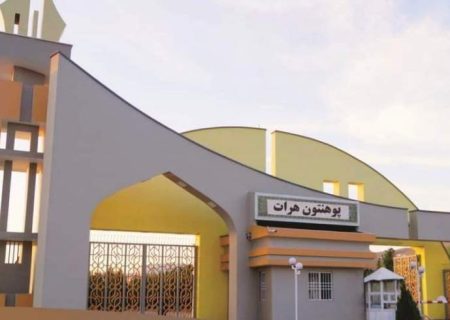 محمد ندیم: امارت اسلامی از متخصصان حمایت می‌کند