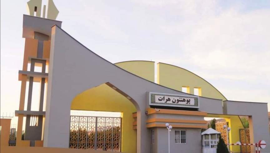 محمد ندیم: امارت اسلامی از متخصصان حمایت می‌کند