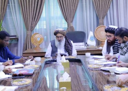 رئیس اجرایی صندوق حمایت ازکودکان سازمان ملل با وزیر صحت عامه دیدارکرد