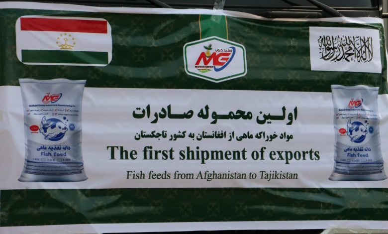 برای نخستین‌ بار ۵۰ تُن دانه خوراک ماهی از ولایت بلخ به کشور تاجیکستان صادر شد