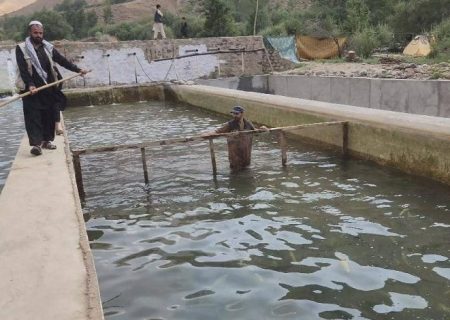 یک باشنده از تخار، ۴.۵ میلیون افغانی در زمینه پرورش ماهی‌ سرمایه‌گذاری کرد