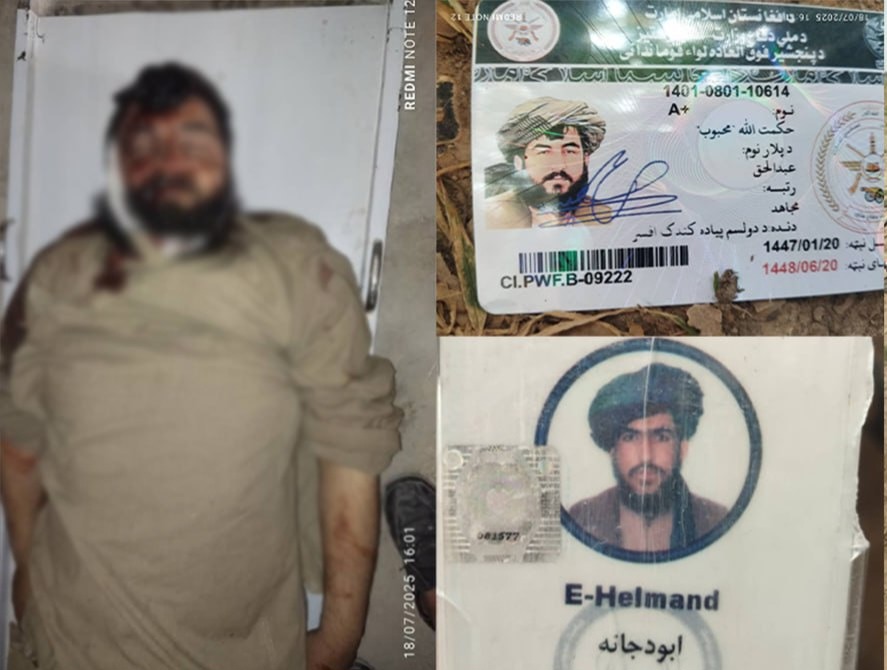 ۴ عضو استخبارات گروه طالبان بر اثر رویداد ترافیکی در غزنی کشته شدند