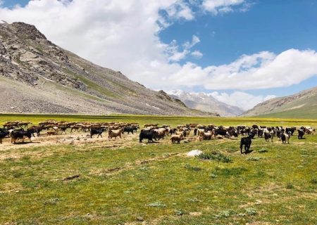 طالبان از آغاز روند تثبیت و سروی علف‌چرها در ولایت بدخشان خبر می‌دهند