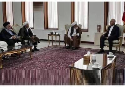 علیرضا بیکدلی با اعضای شورای علمای شیعه افغانستان دیدار و گفتگو کرد