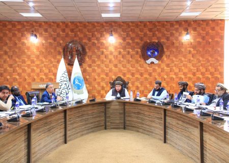 معین وزارت صحت عامه گروه طالبان نسبت به رسیدگی مشکلات هموطنان عودت شده تأکید کرد