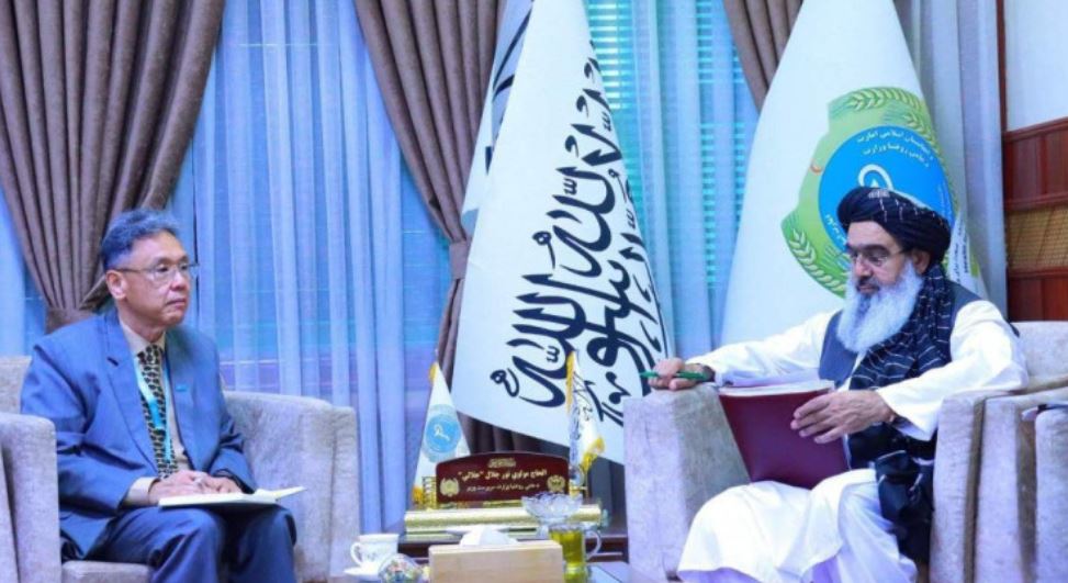 تأکید طالبان و سازمان جهانی صحت بر تقویت نظام صحی افغانستان