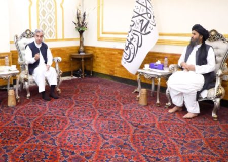 درخواست همکاری بین‌المللی برای بازسازی افغانستان در دیدار معاون اقتصادی با مؤسسه اکبر
