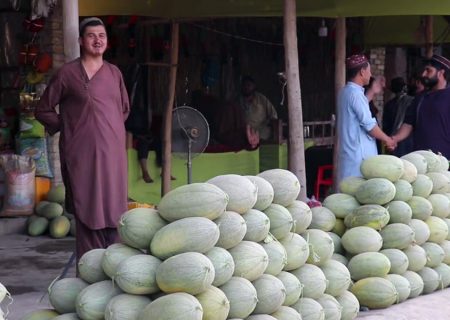 افزایش ۱۵ درصدی حاصلات خربوزه و تربوز در بغلان؛ دهاقین از نبود بازار شکایت دارند 