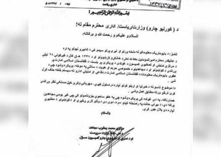 طالبان دستور حذف بایومتریک جنگجویان خود را صادر کردند؛ نشانه‌ای از بحران یا آماده‌گی برای فرار؟   