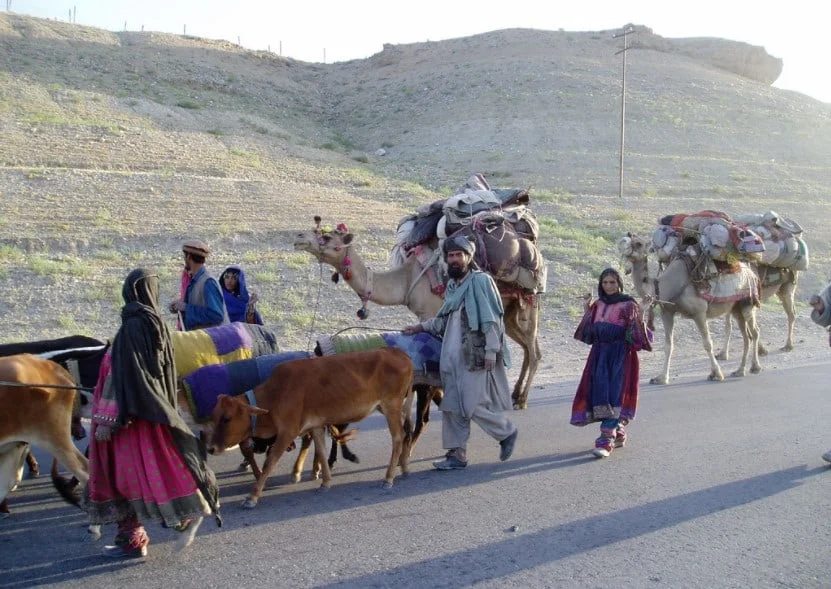 اخراج اجباری ده‌ها خانواده در بامیان؛ طالبان زمین‌ها را به کوچی‌ها واگذار می‌کنند