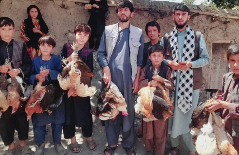 توزیع مرغهای تخمگذار در بدخشان؛ فرصتی برای خودکفایی و درآمدزایی زنان روستایی