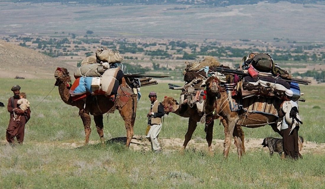 طالبان با قطع اینترنت، جابهجایی کوچیها در بدخشان و تخار را پیش میبرند