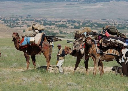 طالبان با قطع اینترنت، جابه‌جایی کوچی‌ها در بدخشان و تخار را پیش می‌برند