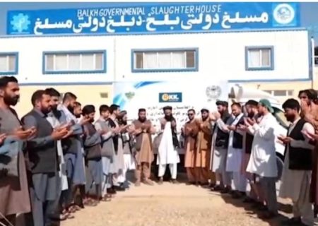 برای نخستین بار روند امتحانی صادرات گوشت از افغانستان آغاز شد