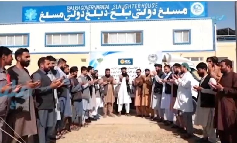 برای نخستین بار روند امتحانی صادرات گوشت از افغانستان آغاز شد