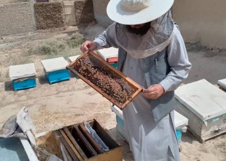 توزیع اجازه‌نامه‌های موقت برای فارمداران و شرکت‌های خدمات مرغداری در تخار آغاز شد 