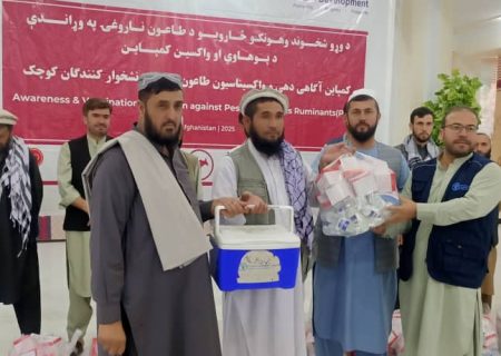 کمپاین سراسری واکسیناسیون طاعون نشخوارکنندگان کوچک با کمک《سازمان فائو》در بدخشان آغاز شد