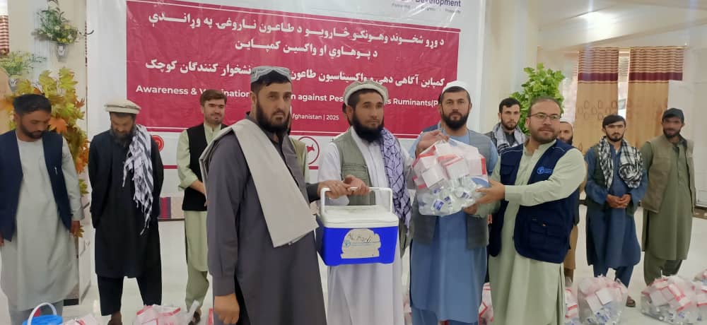 کمپاین سراسری واکسیناسیون طاعون نشخوارکنندگان کوچک با کمک《سازمان فائو》در بدخشان آغاز شد