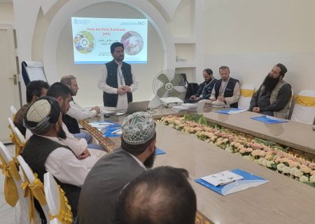 توزیع ۱۳۰ هزار دوز واکسین طاعون بزی در بغلان با همکاری سازمان ملل