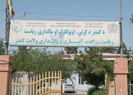 سازمان ملل، طرح کمپاین واکسیناسیون علیه طاعون حیوانات کوچک در ولایت کندز را آغاز کرد