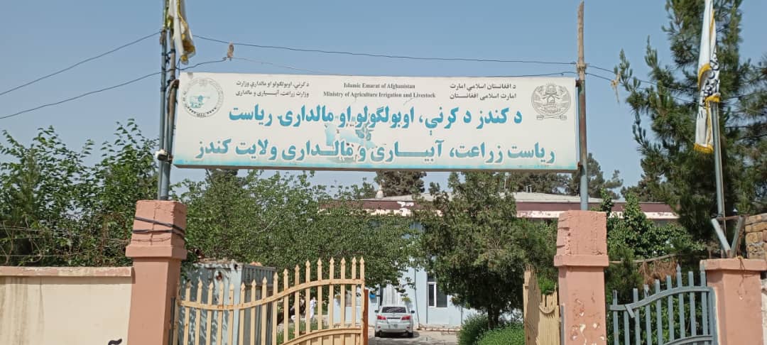 سازمان ملل، طرح کمپاین واکسیناسیون علیه طاعون حیوانات کوچک در ولایت کندز را آغاز کرد