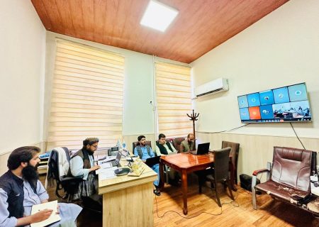 نشست آنلاین وزارت صحت عامه برای هماهنگی خدمات صحی در ۹ ولایت شمال و شمال‌شرق کشور