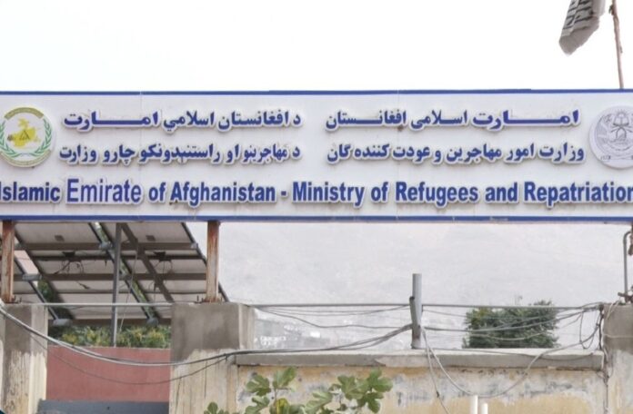 وزارت امور مهاجرین طالبان: در ماه سنبله، بیش از ۲۱۵ میلیون افغانی کمک بشری برای بیش از ۳۱ هزار خانواده در ۲۹ ولایت افغانستان توزیع شده است