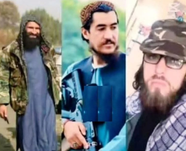 فرمانده حوزه دوم امنیتی طالبان در پروان و سه محافظش در کاپیسا کشته شدند