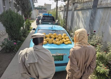 بازداشت دو تن به اتهام قاچاق ۲۶ کیلوگرام مواد مخدر در ولایت تخار