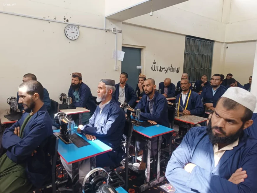 آموزش حرفه‌ای برای معتادان بهبودیافته در کندز؛ گامی برای بازگشت به زندگی سالم   