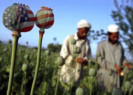 افشای برنامه‌ سری سیا برای کاهش تولید مواد مخدر در افغانستان   