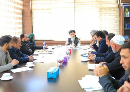 دیدار معین مالی و اداری وزارت اقتصاد طالبان با مسئولان صنعت قالین برای رشد و توسعۀ این بخش در کشور   