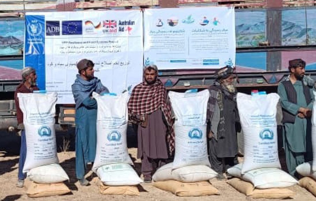 توزیع بستههای زراعتی برای ۲۹۶ دهقان در بادغیس و فراه با حمایت برنامه جهانی غذا WFP