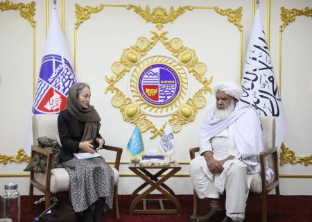 دیدار رئیس اداره ملی آمادگی مبارزه با حوادث طالبان با هیأت UNDP در کابل   
