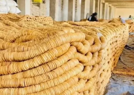 افزایش سه‌برابری صادرات انجیر خشک قندهار به بازارهای جهانی   