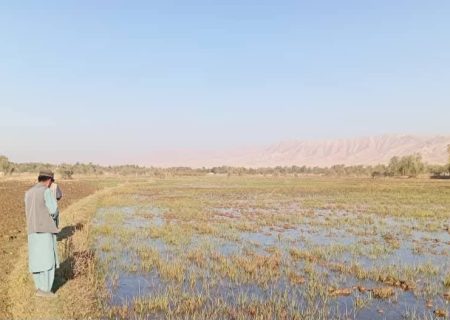 آغاز سروی نیازسنجی برای طرح و تطبیق پروژه‌های منابع طبیعی در ولسوالی‌های دشت‌قلعه و درقد تخار   