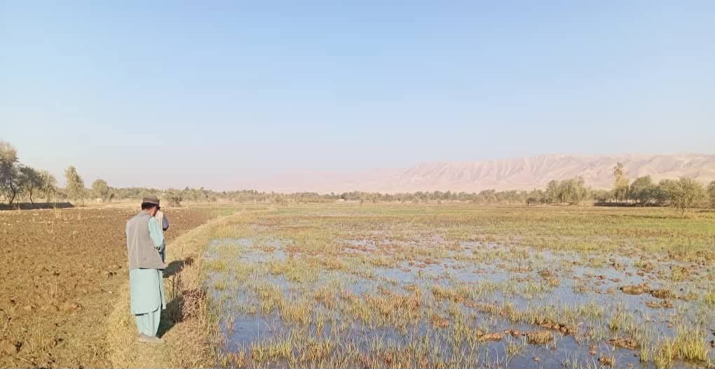 آغاز سروی نیازسنجی برای طرح و تطبیق پروژههای منابع طبیعی در ولسوالیهای دشتقلعه و درقد تخار