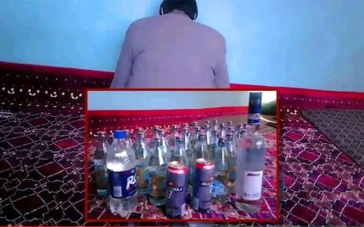 بازداشت یک فرد متهم به قاچاق ۳۱ بوتل شراب در مرز تاجیکستان در ولسوالی اشکاشم