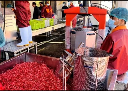 افتتاح کارخانه بزرگ پروسس انار به ارزش ۲ میلیون افغانی در قندهار   
